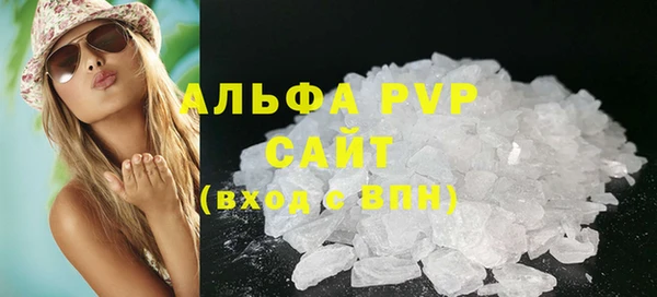 прущие грибы Нязепетровск