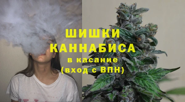 прущие грибы Нязепетровск