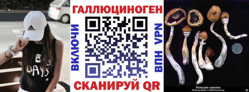 Псилоцибиновые грибы Psilocybine cubensis  Азнакаево 